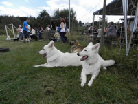 eine kleine Pause f&uuml;r alle